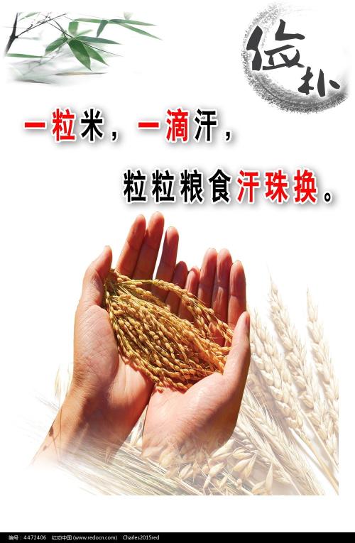 肯塔基州驾驶证怎么买假的